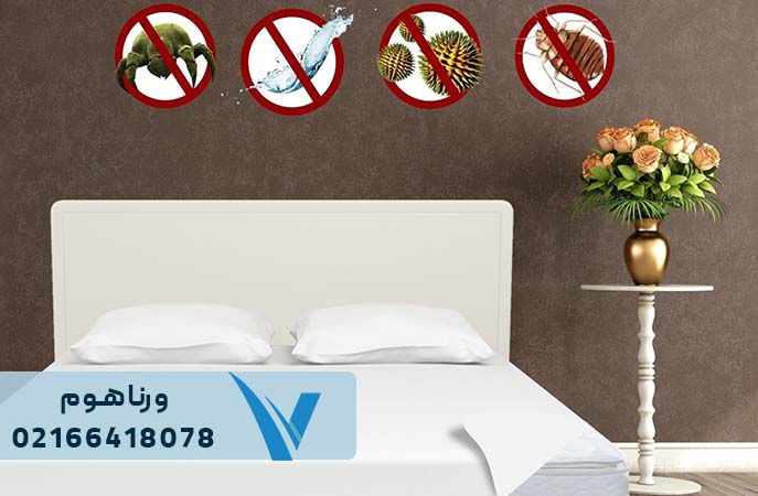 انواع حشرات رختخواب
